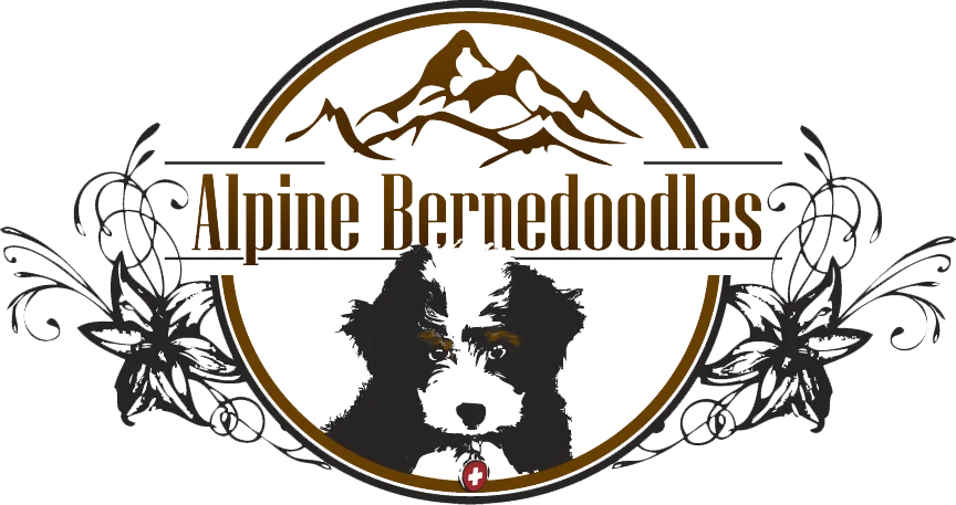 Alpine Bernedoodles Logo