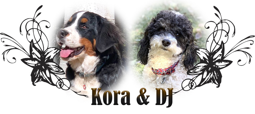 Kora and DJ Planned Breeding