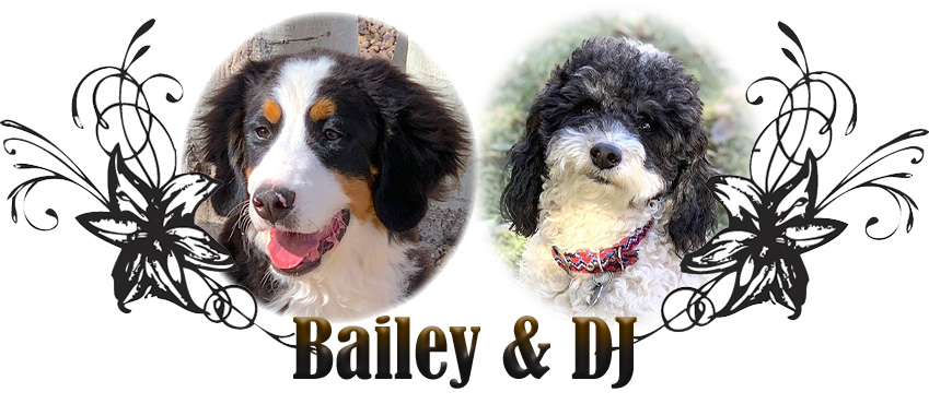 Bailey and DJ Paired Breeding