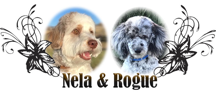 Nela and Rogue paired breeding
