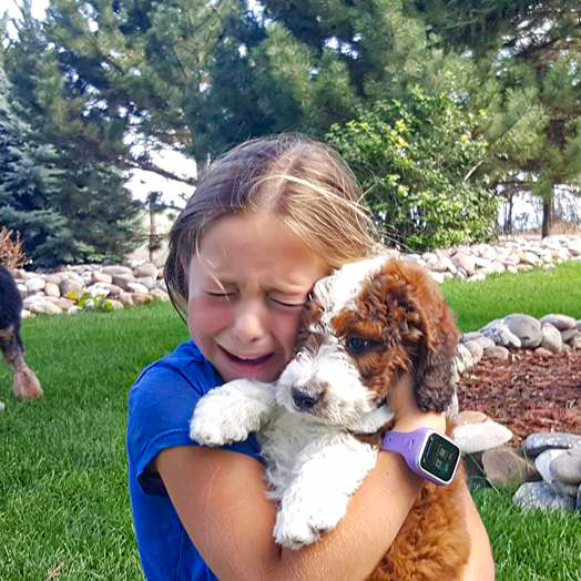 Little girl crying holding new puppy