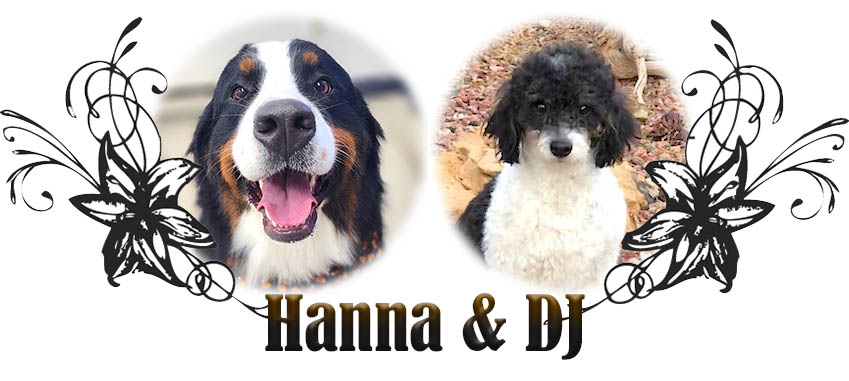 Hanna and DJ paired breeding