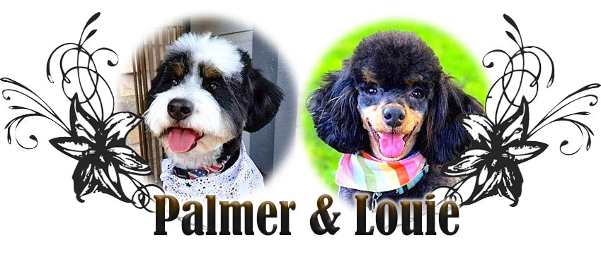Palmer and Louis paired breeding