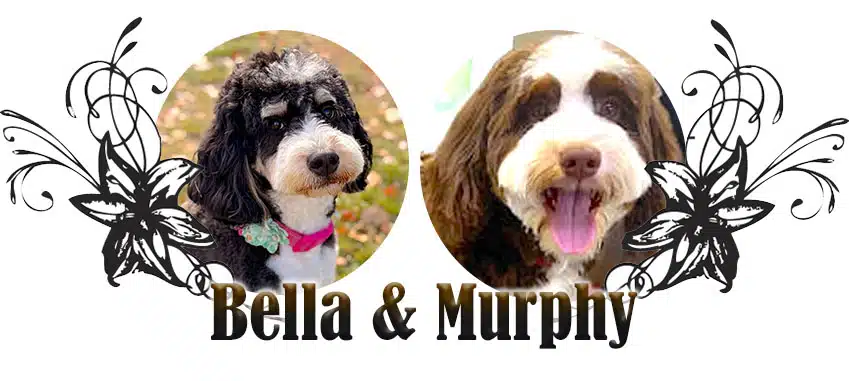 bella-murphy-new