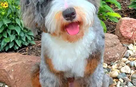 Willie's headshot
